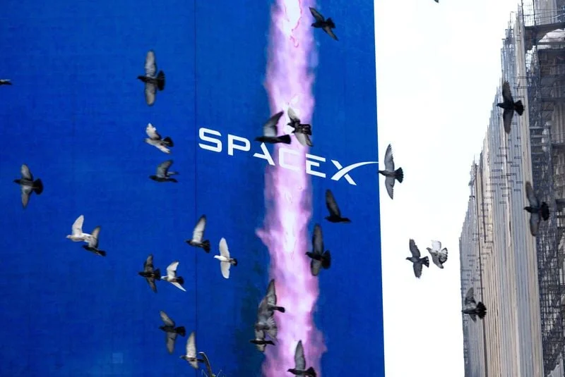 Медведям по SpaceX советуют «впасть в криосон»